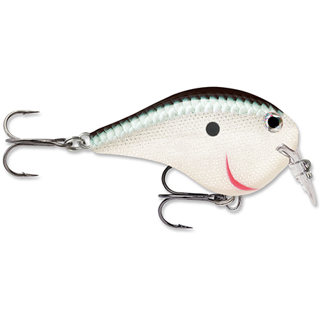 NORTHLAND GSSR10 STICK CP6