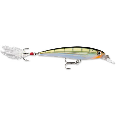 RAPALA XR10YP X RAP CP6 10