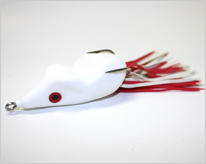 SCUM FROG BR503 FROG CP6