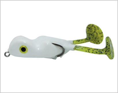 SCUM FROG LBF1533 FRG CP6