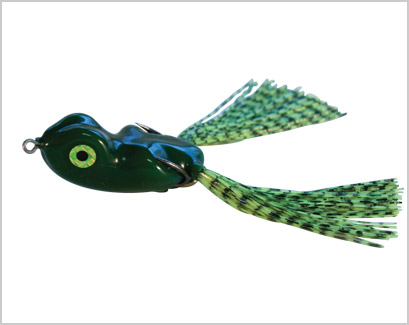 SCUM FROG SD1701  FROG CP6