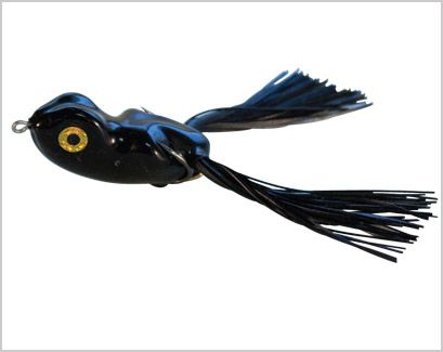 SCUM FROG SD1702  FROG CP6