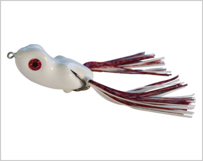 SCUM FROG SD1703  FROG CP6