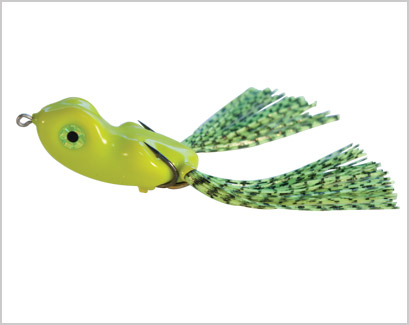 SCUM FROG SD1704  FROG CP6