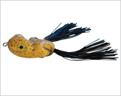 SCUM FROG SD1706  FROG CP6