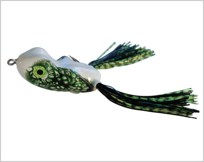 SCUM FROG SD1712  FROG CP6