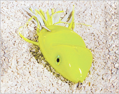 SCUM FROG SF104  FROG CP6