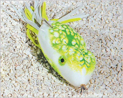 SCUM FROG SF113 FROG CP6