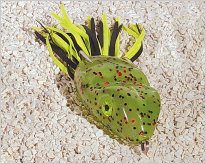 SCUM FROG SF127 FROG CP6
