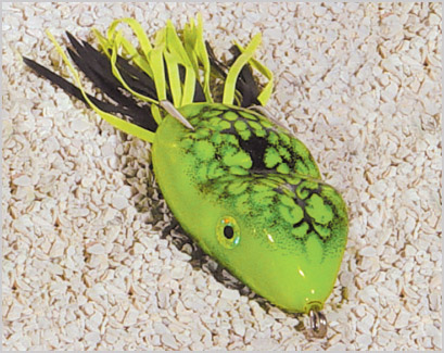 SCUM FROG SF128 FRGS CP6