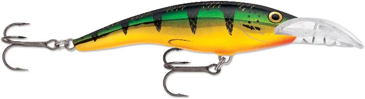 FLEXTONE FLXFLXTK122 CALL CP24