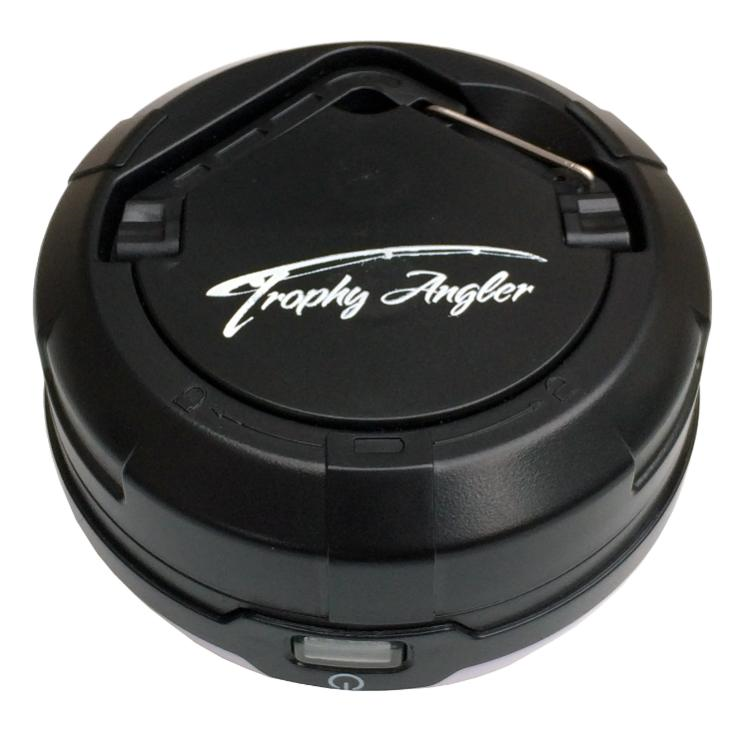TROPHY ANG ASGDSL250 LT CP24/6