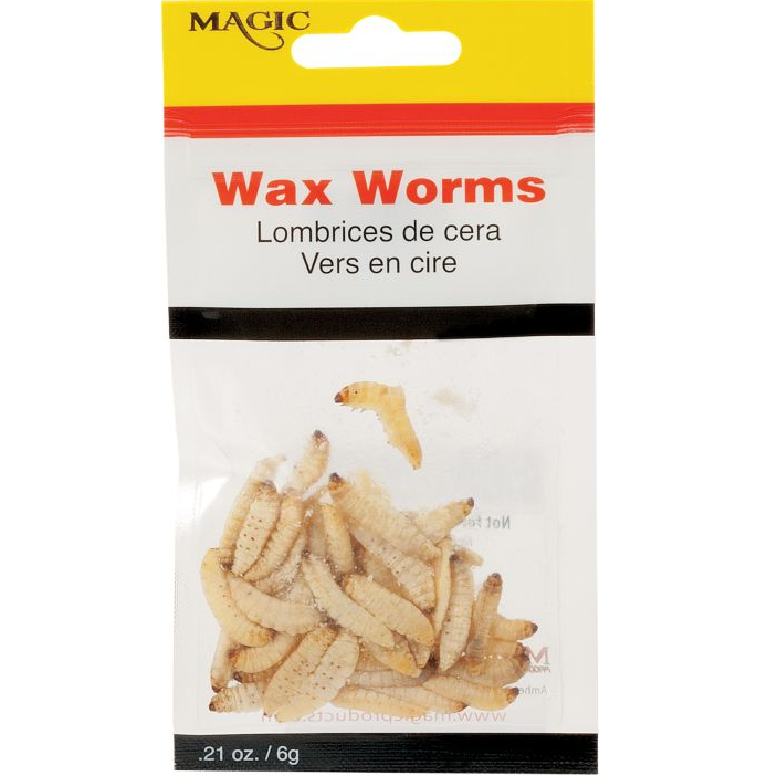 MAGIC 5239NM WAX WORMS CP12
