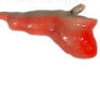 MAYNARDS AL10FRG ALIEN  JIG CP