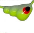 MAYNARDS PG10GC PLOW GRUB JIG