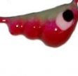 MAYNARDS PG10GR PLOW GRUB JIG