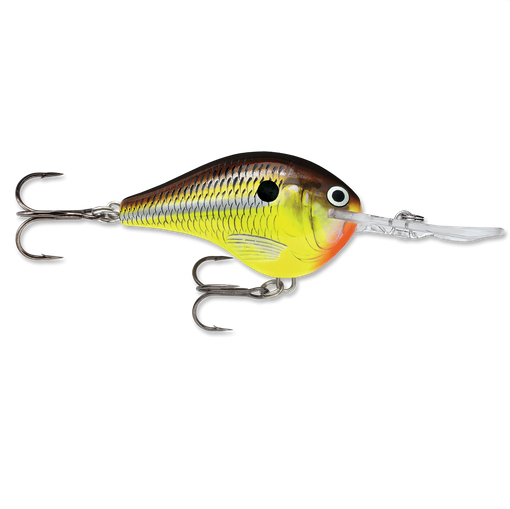 RAPALA DT06HM DIVES TO 6' CP3
