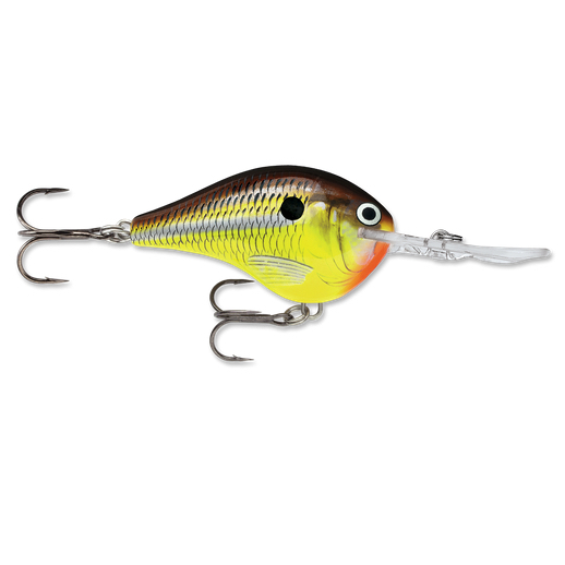 RAPALA DT10HM DIVES TO10' CP3