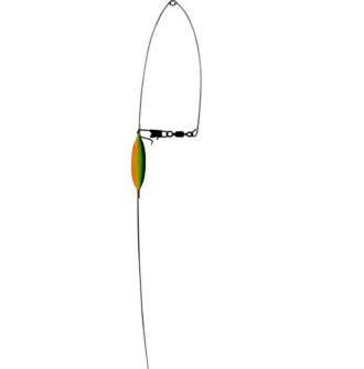 CARLSON ED52505 BTTM BNCR C12