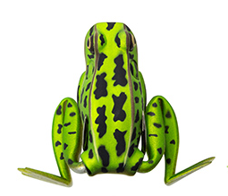 LUNKER POP01 POPING FROG CP3