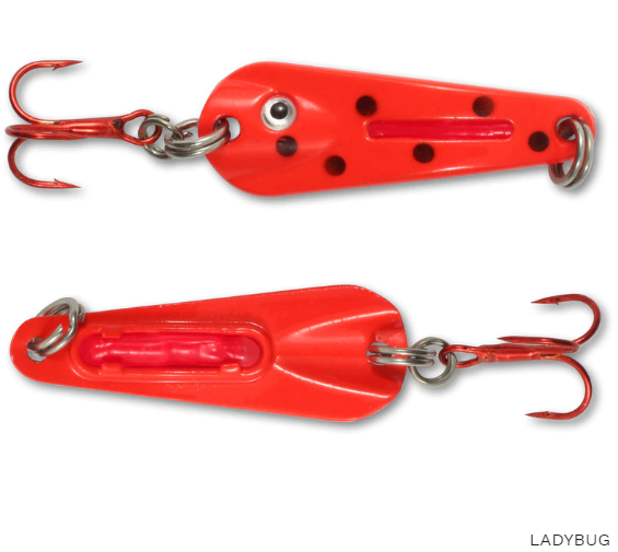 NORTHLAND GSS293 SPOON CP6