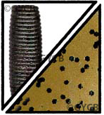 YAMAMOTO 9S10297 SENKO CP6