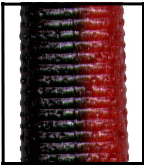 YAMAMOTO 9S10900 SENKO CP6
