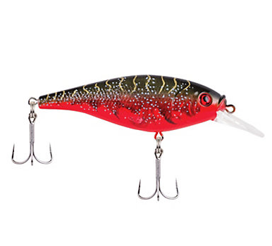PF BERKLEY FFSH-5SRT CP4 b230