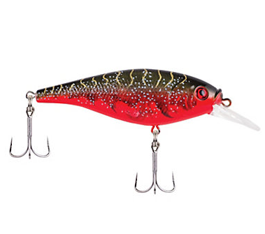 PF BERKLEY FFSH-7SRT CP4 b251