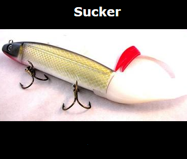 TYRANTTACKLE TR008 LURE CP1