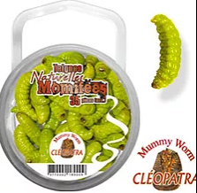 MUMMY MW00103 WAX WORM CP6