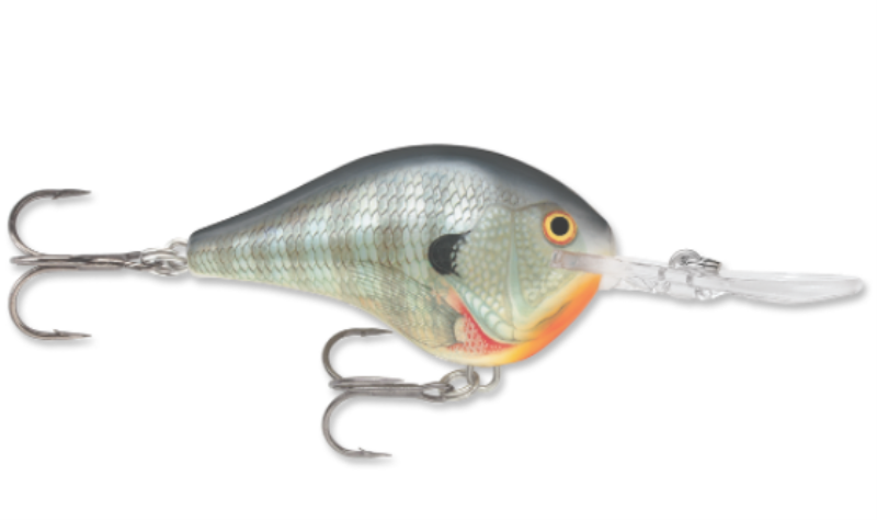 RAPALA DT08BG DIVES TO 08 CP3