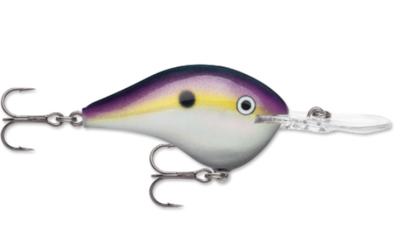 RAPALA DT08BGSD DIVES TO 08 CP