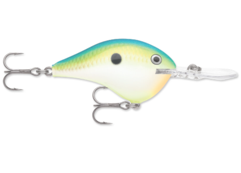 RAPALA DT08CTSD DIVES TO 08 C3