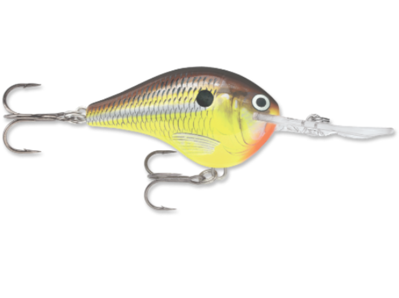 RAPALA DT08HM DIVES TO 08 CP3