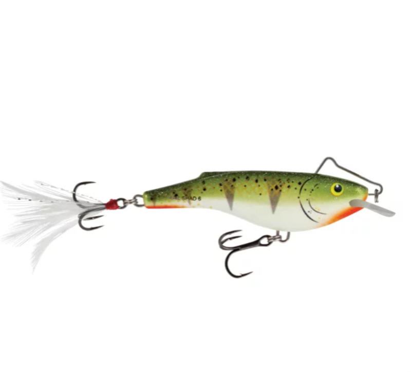 SALMO QRB004 RAIL SHAD CP6