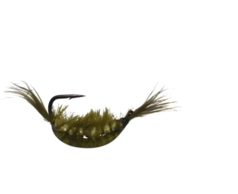 KENDERS NS1 TUNGTN SHRIMP CP12