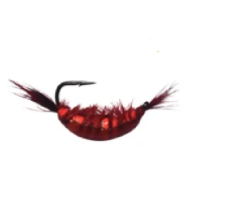 KENDERS NS4 TUNGTN SHRIMP CP12