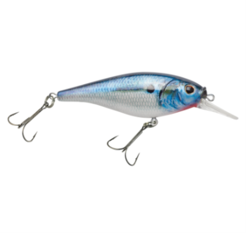 PF BERKLEY FFSH-5SHDTFS CP4