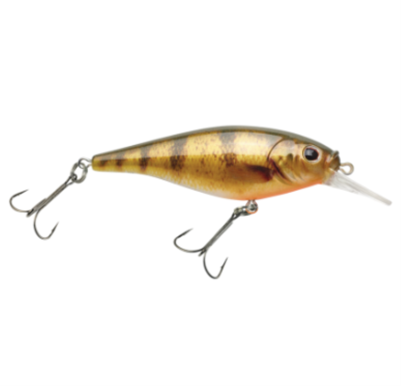 PF BERKLEY FFSH-5SHDYLP C4b225