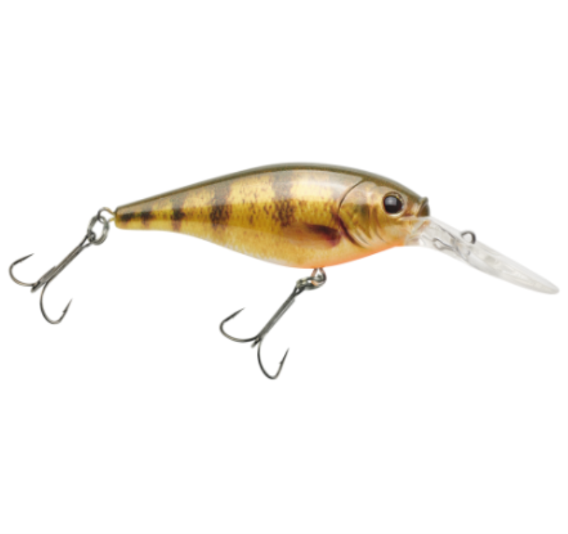 PF BERKLEY FF-SH5MHDYLP C4b128