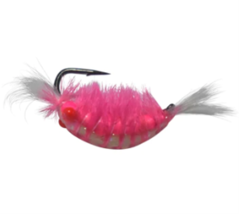 KENDERS RES3 TUNGTN SHRIMP C12