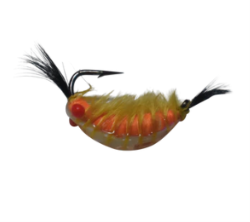KENDERS RES5 TUNG SHRIMP C12