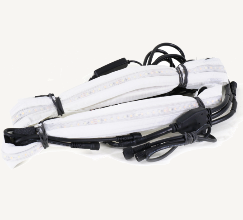 CLAM 17474CL LED  LIGHT KIT C6