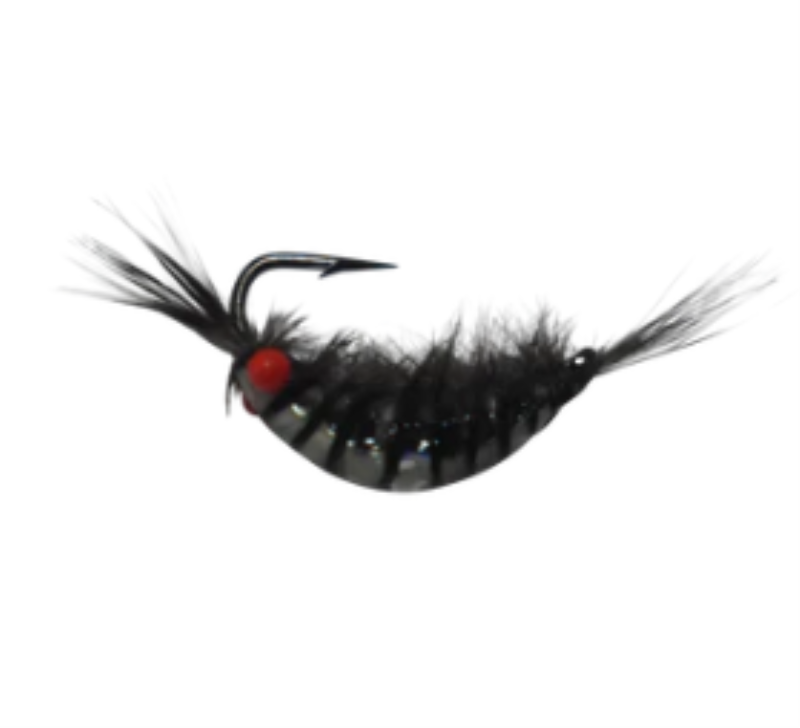 KENDERS RES4 TUNG SHRIMP CP12