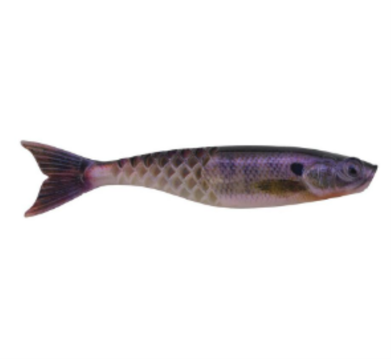 PF BERKLEY PBPS35HDBLG CP6
