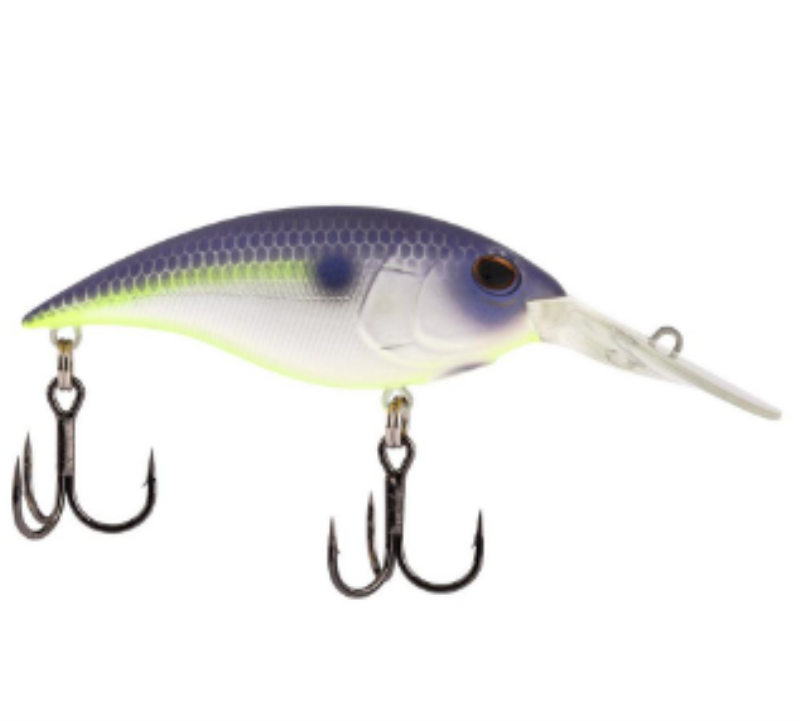 PF BERKLEY BHBMB725PPG CP4