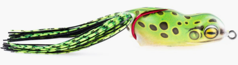 SCUM FROG L2344 FROG CP6