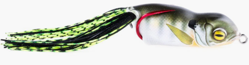 SCUM FROG L2347 FROG CP6