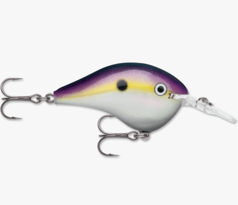 RAPALA DT06BGSD CRNKBT CP3